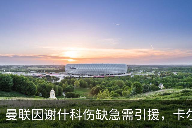 曼联因谢什科伤缺急需引援，卡尔弗特-勒温成潜在对象